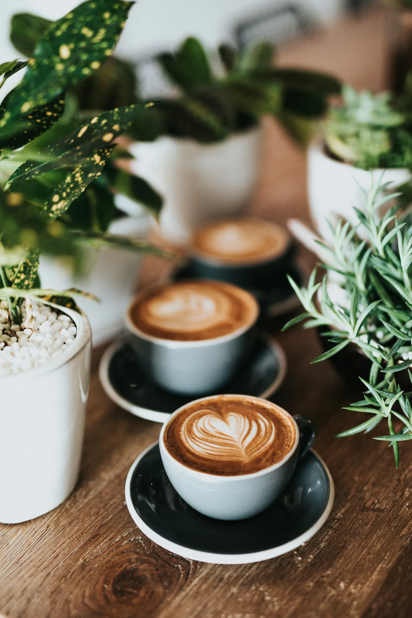 Latte art on a wooden table, surrounded by house plants